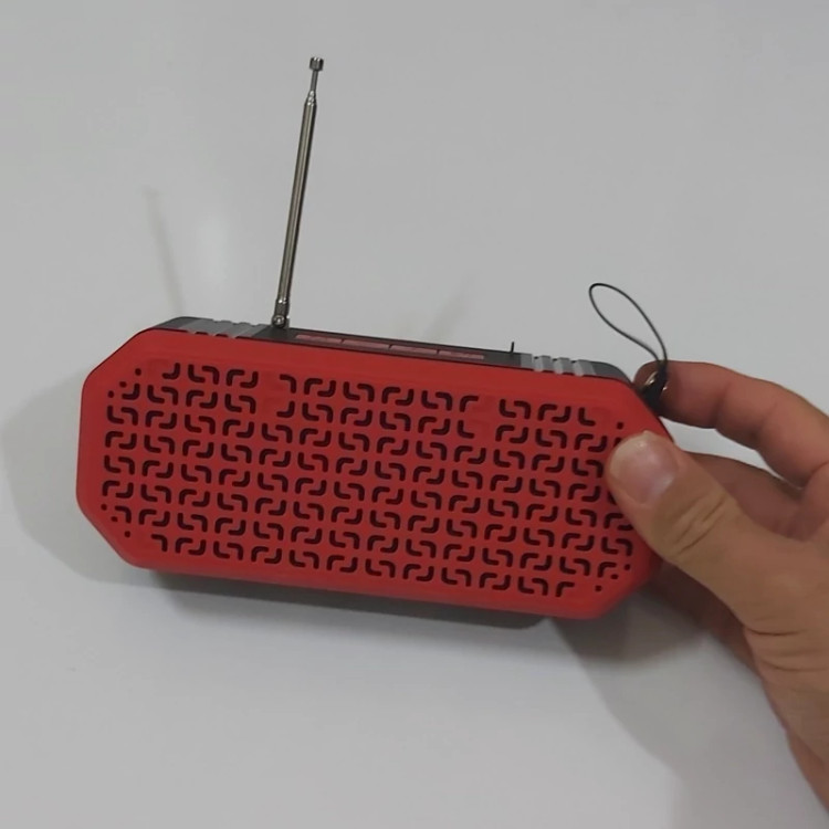 اسپیکر به همراه رادیو RMs601